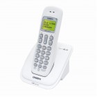 DECT 1015
